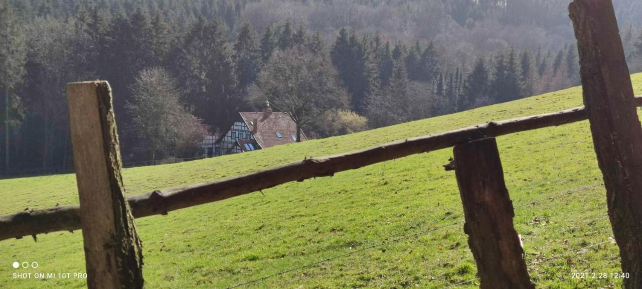 Ferienwohnung - Nadine Georgsmarienhütte Eksteriør billede